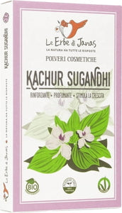 Kachur Sugandhi (Gewürzlilie)