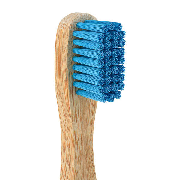 Eco spazzolino da denti di bambù con setole blu